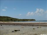 Cayo de Tierra - VIEQUES